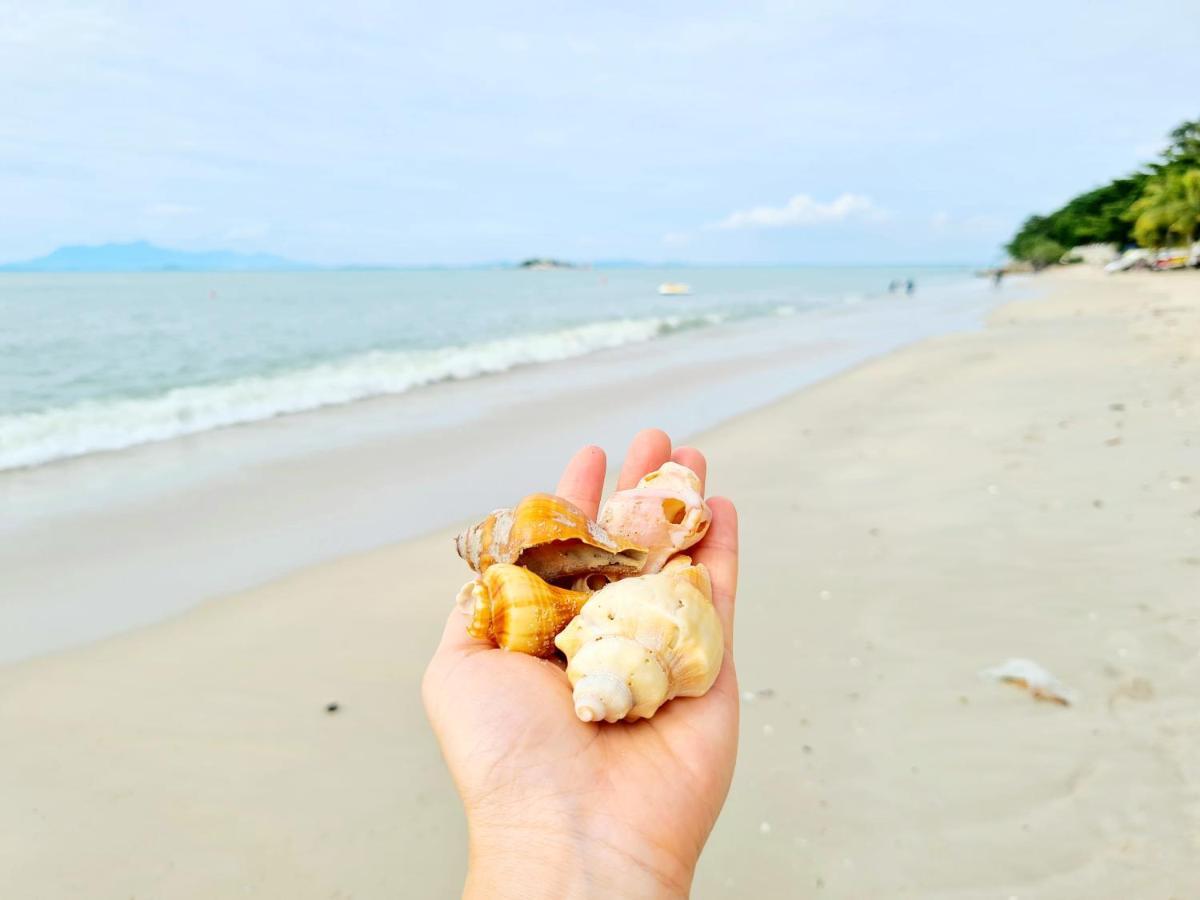 527 Beachhouse L 5 Bedroom With Swimming Pool - 3Min Walk To The Beach タンジュンブンガ エクステリア 写真